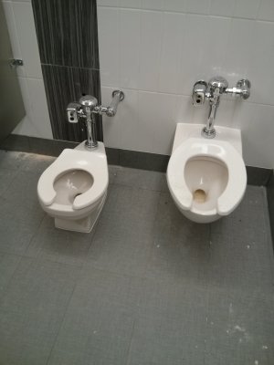 IMG_20130425_122844.jpg