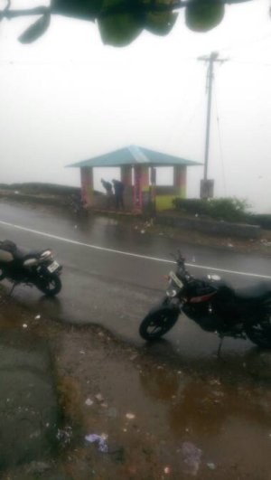85542.jpg