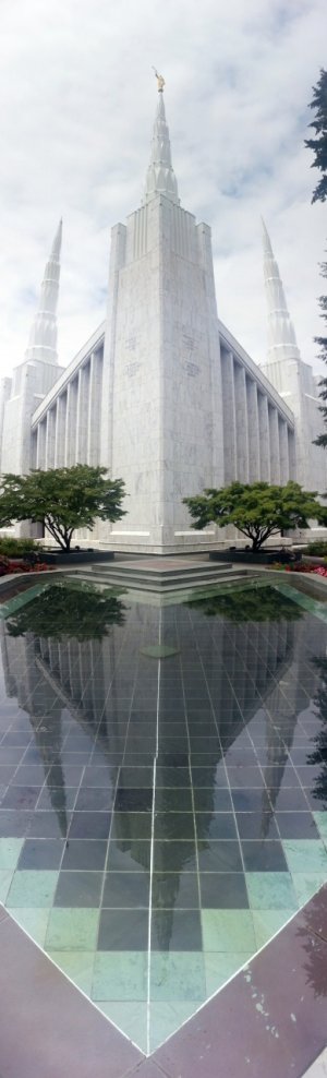 REFLECTION.jpg
