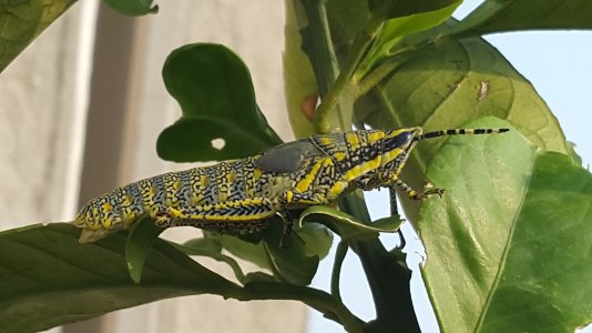 20140801_172105.jpg