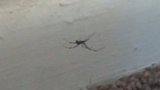 20140823_083058_HDR.jpg