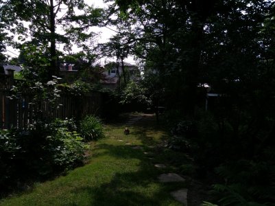 20140804_120303.jpg