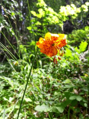 2014-07-21 11.40.01.jpg