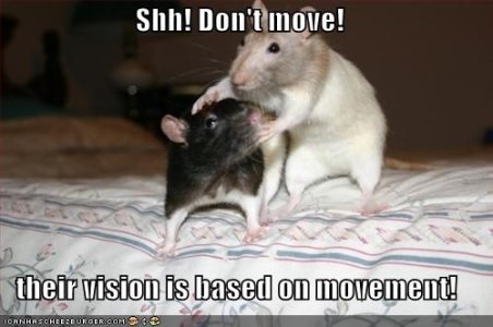 movement.jpg