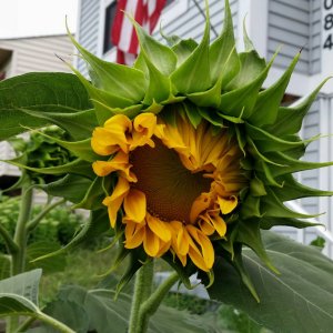 1407530158090.jpg