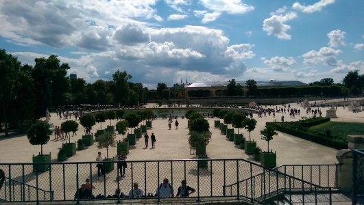IMAG0103.jpg