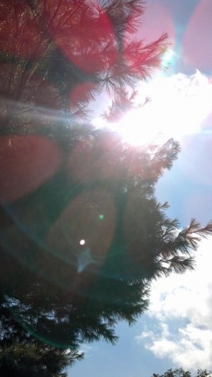 2012-10-18_LensFlare.jpg