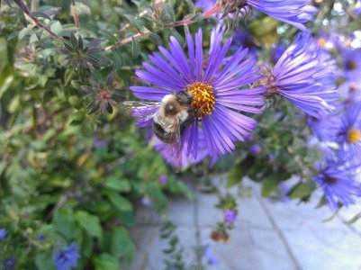 IMAG0267.jpg