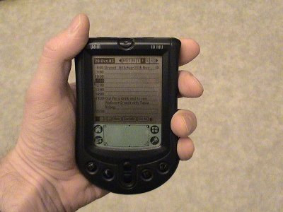 800px-Palm_m100.jpg