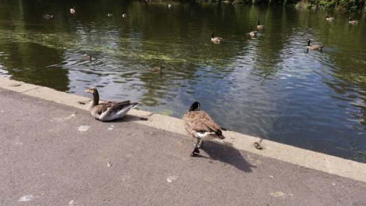 20140809_145559.jpg