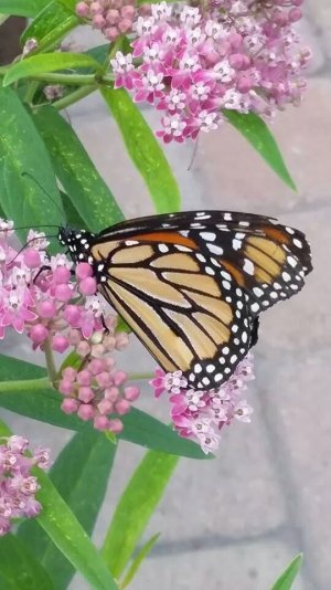 .facebook_1406521529139.jpg