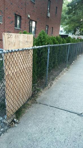 20140726_184152_HDR_1.jpg