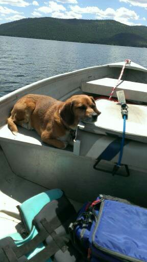 fishing buddy.jpg
