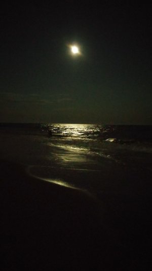 20140810_212706.jpg