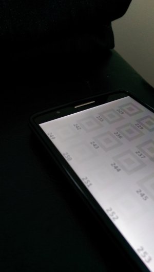 IMAG1089.jpg