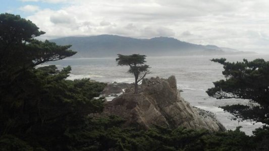 2013-09-21_13-33-07_550.jpg