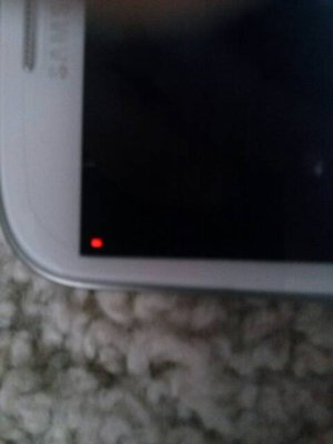 CAM00262.jpg