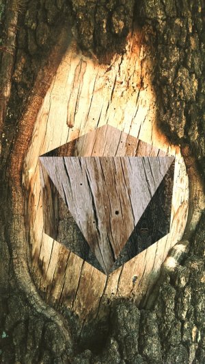 fragment-201260978.jpg