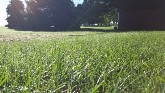 20140914_084138.jpg 20140914_084138.jpg