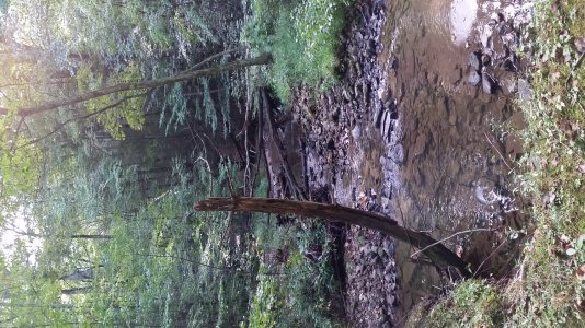 20140914_104628.jpg 20140914_104628.jpg