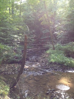 IMG_4539.jpg IMG_4539.jpg