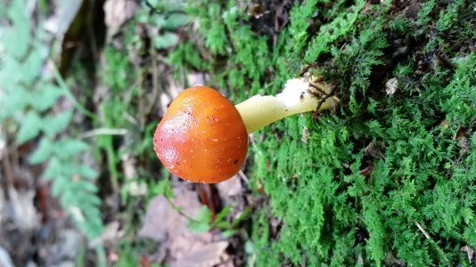 20140914_105614.jpg