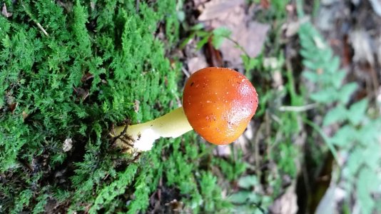 20140914_105614.jpg 20140914_105614.jpg