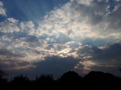 IMG_20140806_163952.jpg