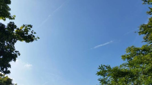 20140903_162613.jpg