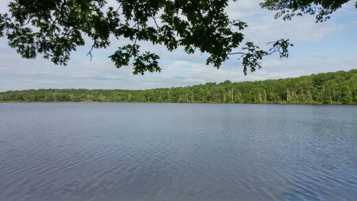 20140720_085637_HDR.jpg