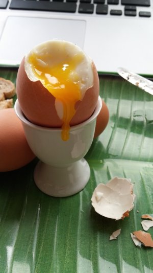 Egg.jpg