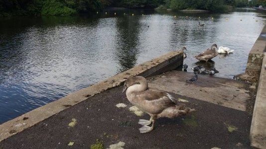 20140818_153736.jpg