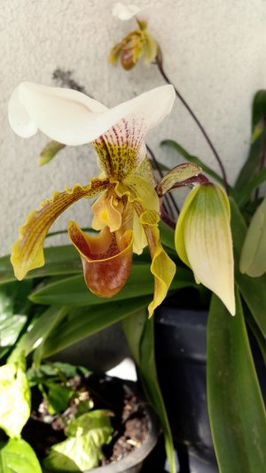 20140510_1434011.jpg