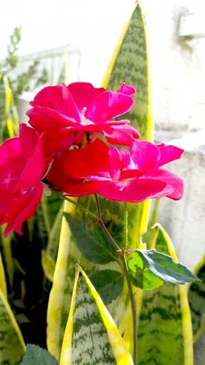 20140510_1435301.jpg