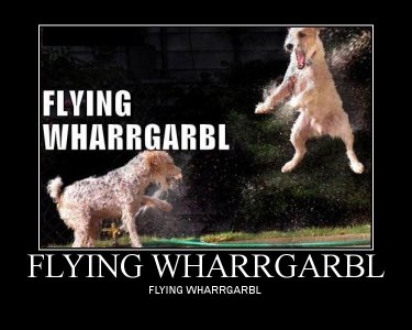 Flying_wharrgarbl.jpg