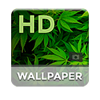 144x144.png 144x144.png