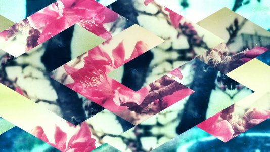 fragment767298564.jpg