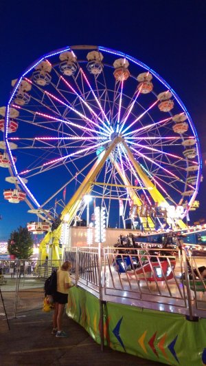 IMAG0177.jpg