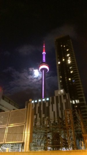 IMAG0313.jpg