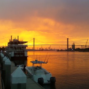 Savannah 2010_2.jpg