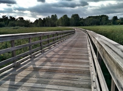 bridge2.jpg