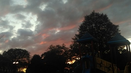 IMAG0041.jpg