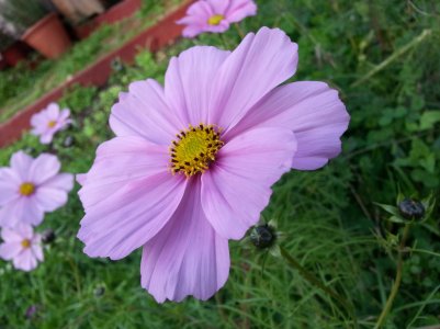 2013-04-27 10.45.04.jpg