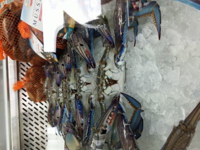 20140903_120923.jpg