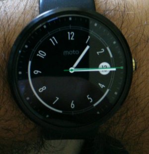 7190.jpg
