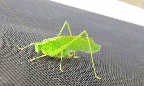 20140727_121634_Android.jpg