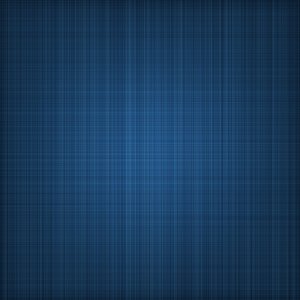 blueplaid.jpg