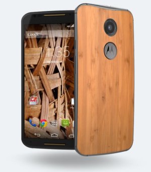 monomotox2014.JPG