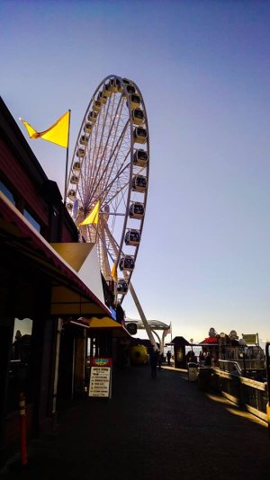 wheel.jpg