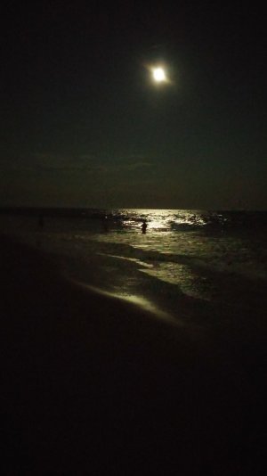 20140810_212654.jpg